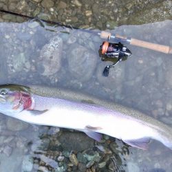 大型ばかり ～天竜川ルアーフライ専用区～